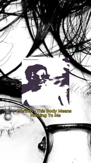 For fans of surf curse, current joys and the drums here are 3 artists you need to know! #musicrecommendations #altrock #indivisculture #indierock #undergroundmusic