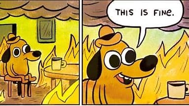 L'origine de vos mèmes préférés (3/6): "This is fine", le chien tout feu tout flamme