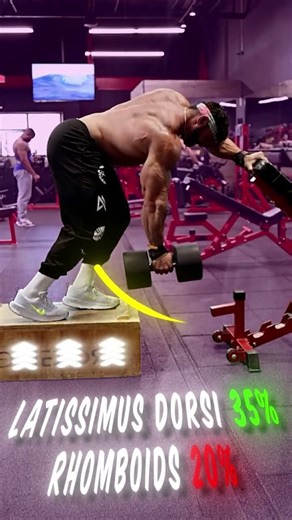 Single Arm Dumbbell Row #shorts #fitness #motivation #back