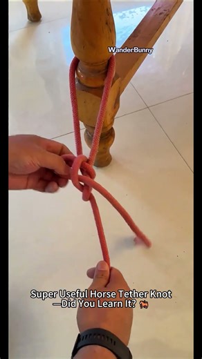 Super Useful Horse Tether Knot—Did You Learn It 🐎