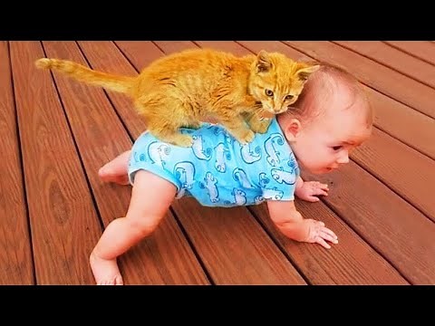 Funniest Baby And Cat Are Best Friends #2 - Cute Babies and Cats Videos