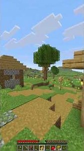 Minecraft but every minute I get a new disability