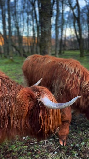 Top Must-See Destinations in Scotland for Your Trip
