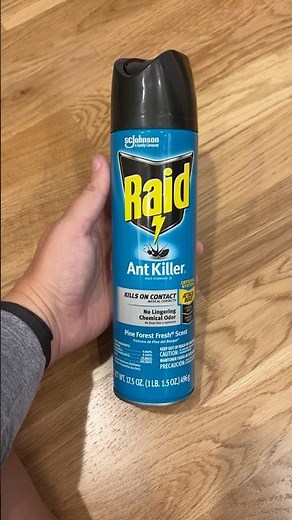 Raid Ant Killer Spray Pine Forest | Product Review