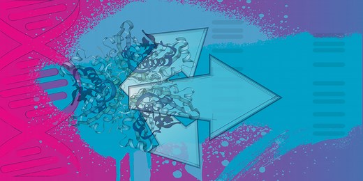 Introducing the GelDoc Go Imaging System | Bio-Radiations