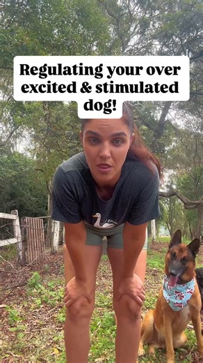 Comment the word “STARTER” and I’ll send The Calm Canine Starter Program through! ✨ . . . #dogtraining #dogbehaviour #calmdog #calmdogstartprogram #trainyourdog | Canine Transformation