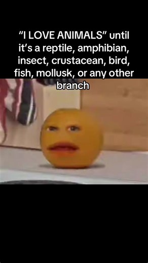 Always mammels..🫩#blowthisup #makethisviral #real #animal #meme | Animal Memes