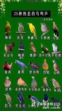 Skbgs of Birds 25种熟悉的鸟叫声 #birdsounds #naturewonders #birdsong