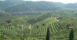 Vinitaly, il bilancio del Prosecco Docg