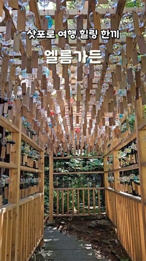The very essence of a Japan trip! Sapporo's vibe hotspot, Elm Garden