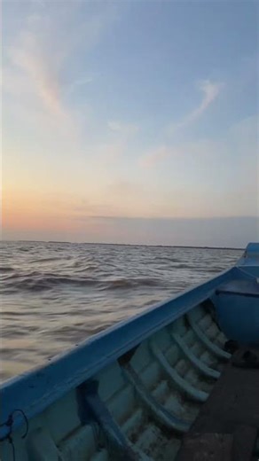 ចេញដេីរមេមេ