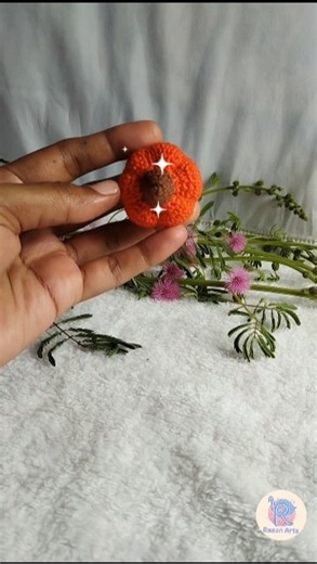 Crochet Pumpkin Keychain 🎃 | Cute Amigurumi Keychain | Raaan Arts
