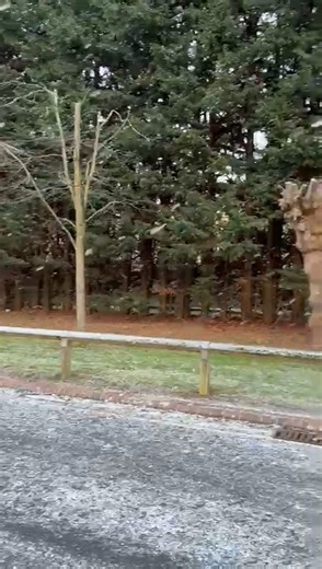 It's snowed again this morning 🙌 #Basingstoke #Snow #Weather #Hampshire | Basingstoke Gazette