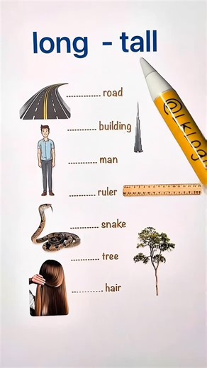 LK Logic on Instagram: "Long vs Tall"