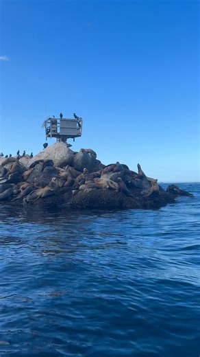 Itaru Takaku on Reels