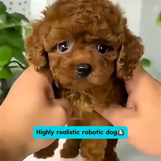 🐾 The Most Realistic Robot Puppy! 🐶 Walks, barks, and wags its tail—just like the real thing!✨ Perfect for all ages.🎁Get one for your family! | Sentdream