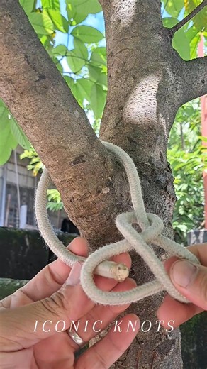 559K views · 2.2K reactions | Simple knot. Ep.19 ( Essential knot ) #everyoneシ゚ #reelsfbシ #fblifestyle #reelsvideoシ #FBReels #reelsfb #handmade #tips #ideas #fb #reelsfypシ #foryouシ #howto #diy #knot #rope #tutorial | Iconic Knots | Facebook