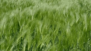 1.5K views · 22 reactions | It's a packed show for today's episode of...