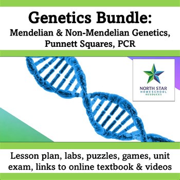 BUNDLE Genetics Mendel Punnett Square PCR Lesson Plan Labs Activity Games Exam