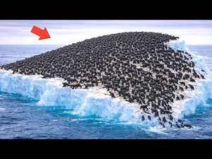 Most Unbelievable Moments Ever caught on camera