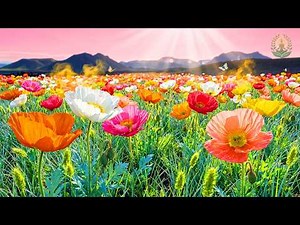 (No ADS) Calm Morning Music 🌸 Soothing Sounds for Emotional Balance & Focus