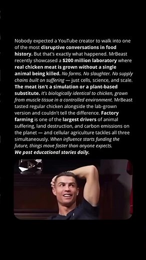MrBeast’s $200M Lab Chicken Revolution: Meat Without Killing a Bird