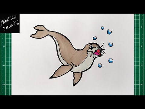 How to Draw a Cartoon Seal