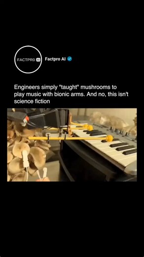 | AI & CHATGPT | TECHNOLOGY | on Instagram: "An engineer connected a living mushroom to a bionic system and taught it to play music 🎵🍄 This isn’t science fiction — it’s bioelectric science. Mushrooms generate tiny electrical signals as they grow and respond to their environment. By attaching electrodes, these signals were captured, translated into data, and converted into musical notes using a synthesizer and robotic interface. #mushrooms #bionic #ai #technology #engineering"