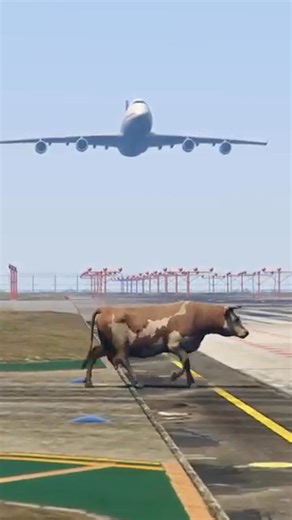 19K views · 132 reactions | #fblifestyle #short #flight #gaming | Flight Gaming | Facebook