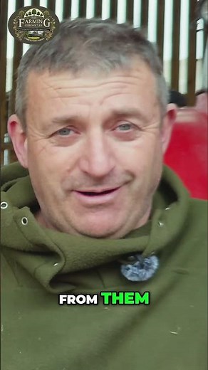 Missing Cows Mystery - The Farming Chronicles