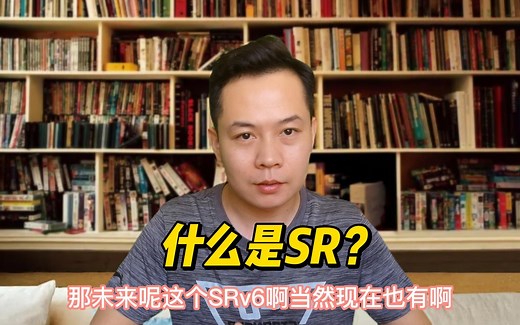 什么是SR技术？