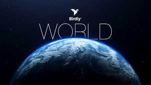 Birdly World Trailer