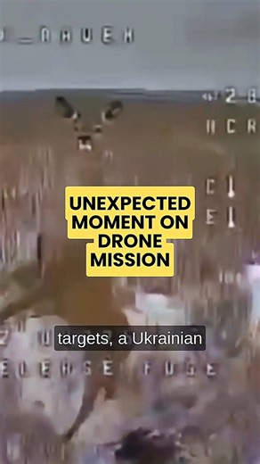 Drone Pilot's Split-Second Save From Deer Collision #dronefootage #wildlifeencounter #shorts