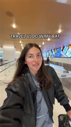 Traveling from New York to Chicago with Tito the Ragdoll Cat