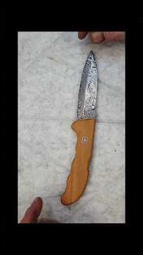 Victorinox Evoke Wood Damast Limited Edition 2026 – Meisterstück der Schweizer Schmiedekunst