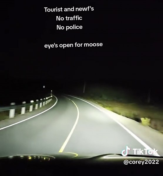 Tips for Safe Night Driving in the Wilderness