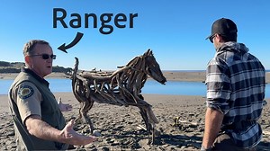 My driftwood horse sculpture journey