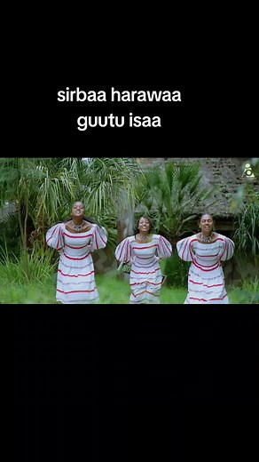 Gajo Tilahun Sirba Harawa 2024 Gutu Isaa | Afaan Oromoo TikTok