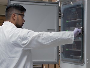 Quantification of Efferocytosis by Single-cell Fluorescence Microscopy