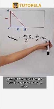 Calculate Tiles for 10m x 8m Triangular Pool #Math #Triangle #AreaOfATriangle