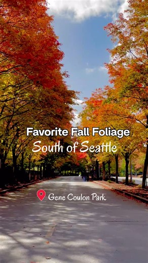 My favorite spot to catch fall colors south of Seattle 🍁 - Gene Coulon Park! The trees are already glowing in shades of orange and red, and it’s absolutely stunning this time of year. If you’re looking to buy or sell a home in the Seattle or South King County area, send me a DM — I’d love to help you find your next move. 🏡✨ #GeneCoulonPark #SeattleFall #MapleValleyRealtor #SouthKingCountyHomes #PNWRealEstate #FallInSeattle #homesbydona #warealestate #warealestateagent #southseattlerealestate #