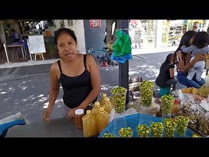 Qué son los arrayanes, Cotidiano399