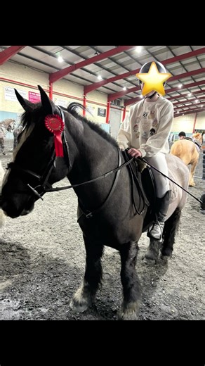 Barney last night in the 70 getting dc for his last show of 2025!#likeup!