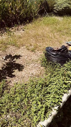 siap 3 unit CCTV. jangan lupa follow. nak mase buleh pm kito area jerteh ,besut, setiu dan pasir puteh. jauh pon buleh jah buat kalu blago rego. #reelschallenge #fbpro #fypviral #cctv #fypjangkauanluas #monitize | Amirul Azmi