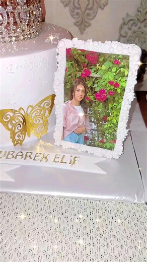 Dmanisi_tort on TikTok