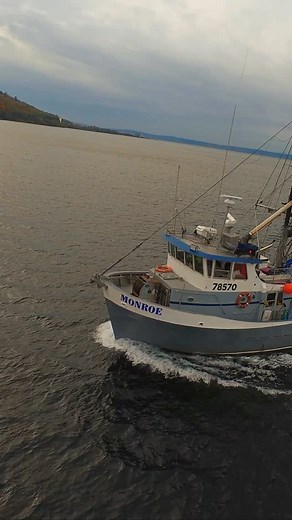 Salmon Tender “Monroe” After Fishing in Puget Sound After a successful salmon run in the rich waters of Puget Sound, the tender vessel Monroe returns with the catch of the day. The air is filled with the scent of salt and fresh salmon — a true Pacific Northwest moment captured by DJI Avata in stunning aerial views. 🎣 From ocean to table, Global Seafoods brings you the best of wild-caught salmon — fresh, flavorful, and sustainably sourced. 🌊 Visit GlobalSeafoods.com￼ to experience seafood the w