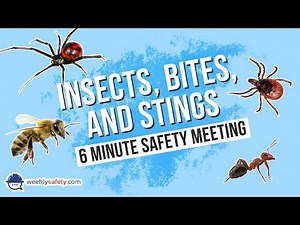 Safety Meeting on Insects, Bites, and Stings