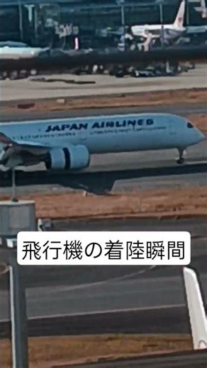 飛行機(ANA)が着陸する瞬間