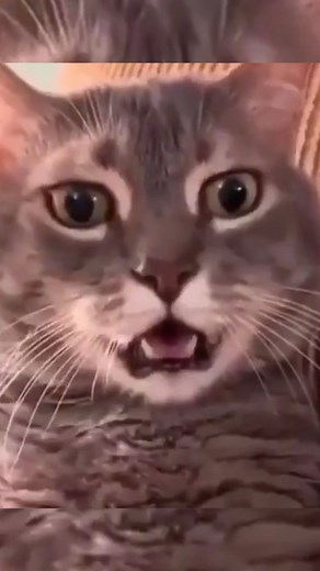 75 reactions · 11 comments | GTech Systems - Venta y Soporte Técnico Computadores on Reels | Facebook