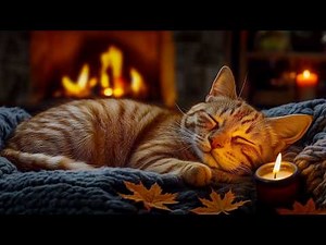 12 Hours of Cat Music 🐱 Gentle Relaxation Music for Cats 🎶 Cozy Fireplace Ambience for Comfort 🔥